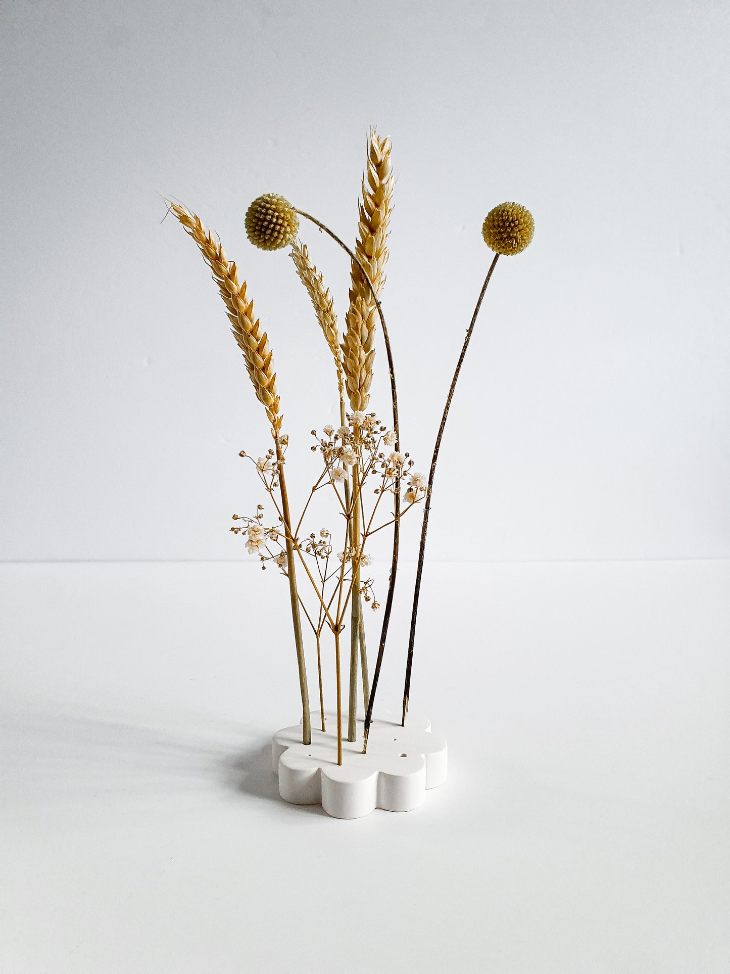 YESOstudio Dried Flower Scallop Stand – Elegant Floral Display