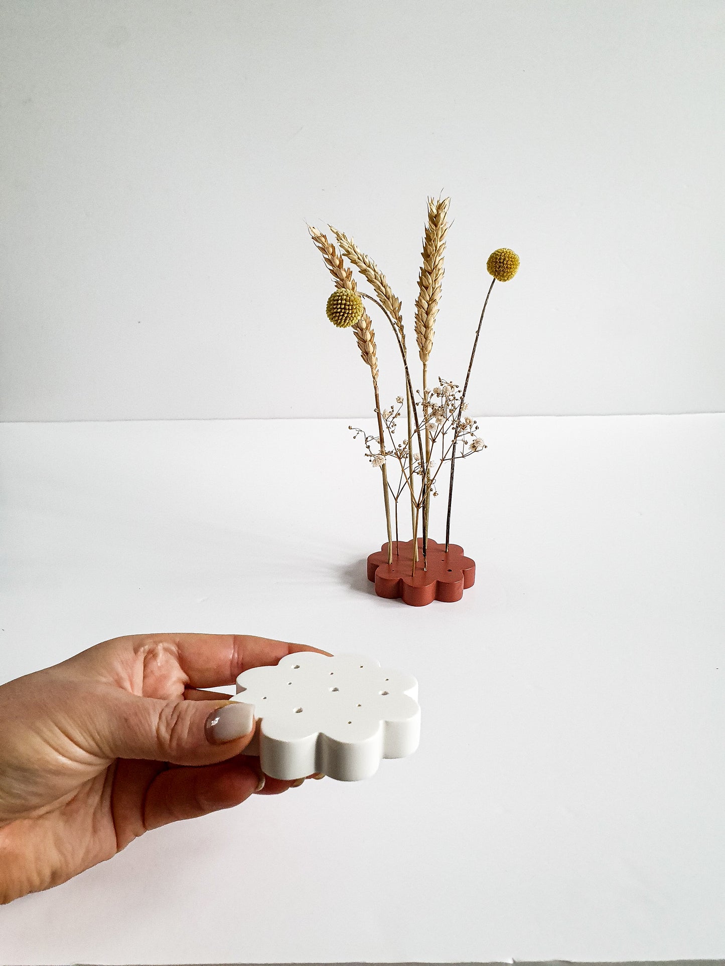 YESOstudio Dried Flower Scallop Stand – Elegant Floral Display