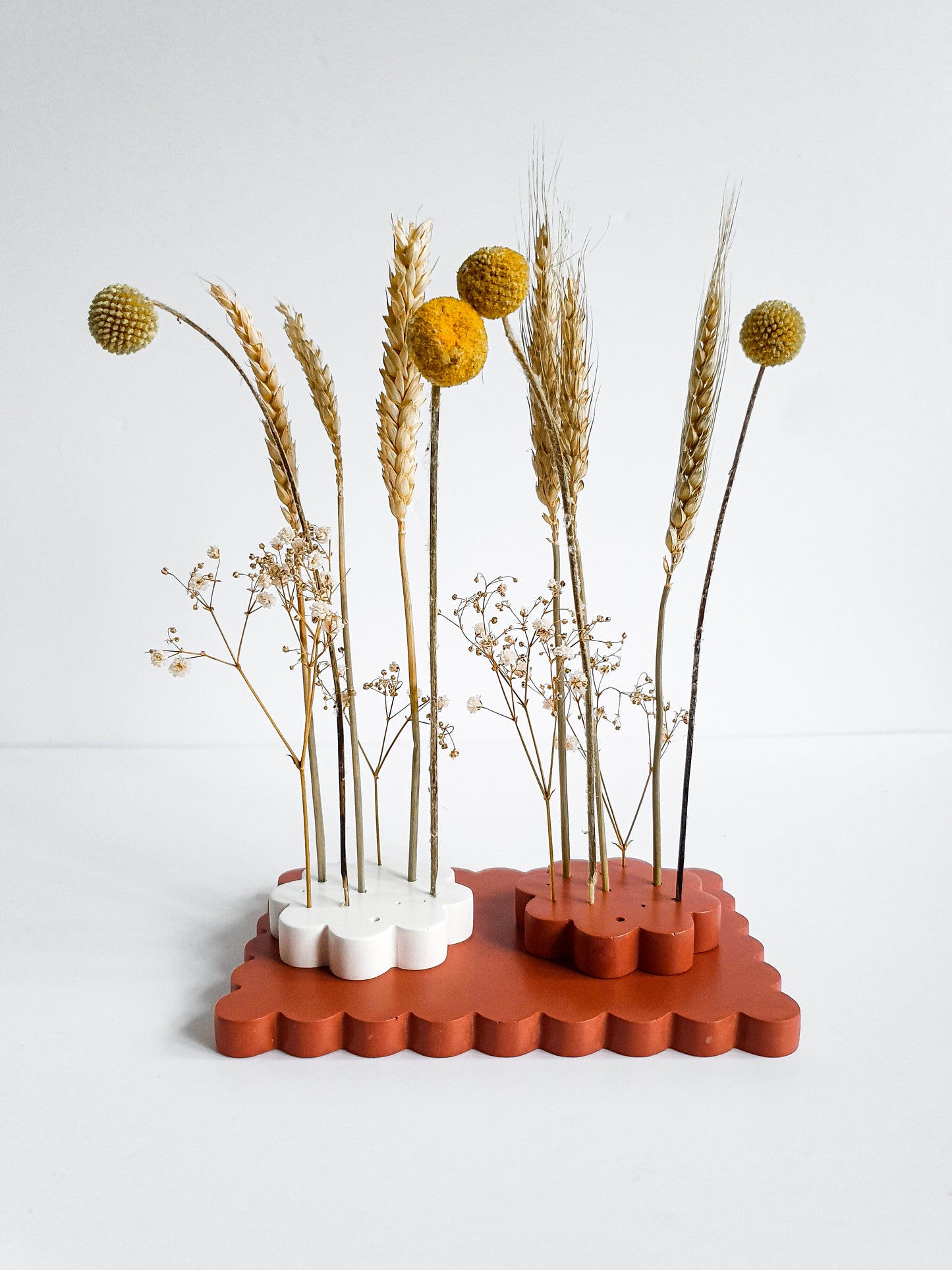 YESOstudio Dried Flower Scallop Stand – Elegant Floral Display