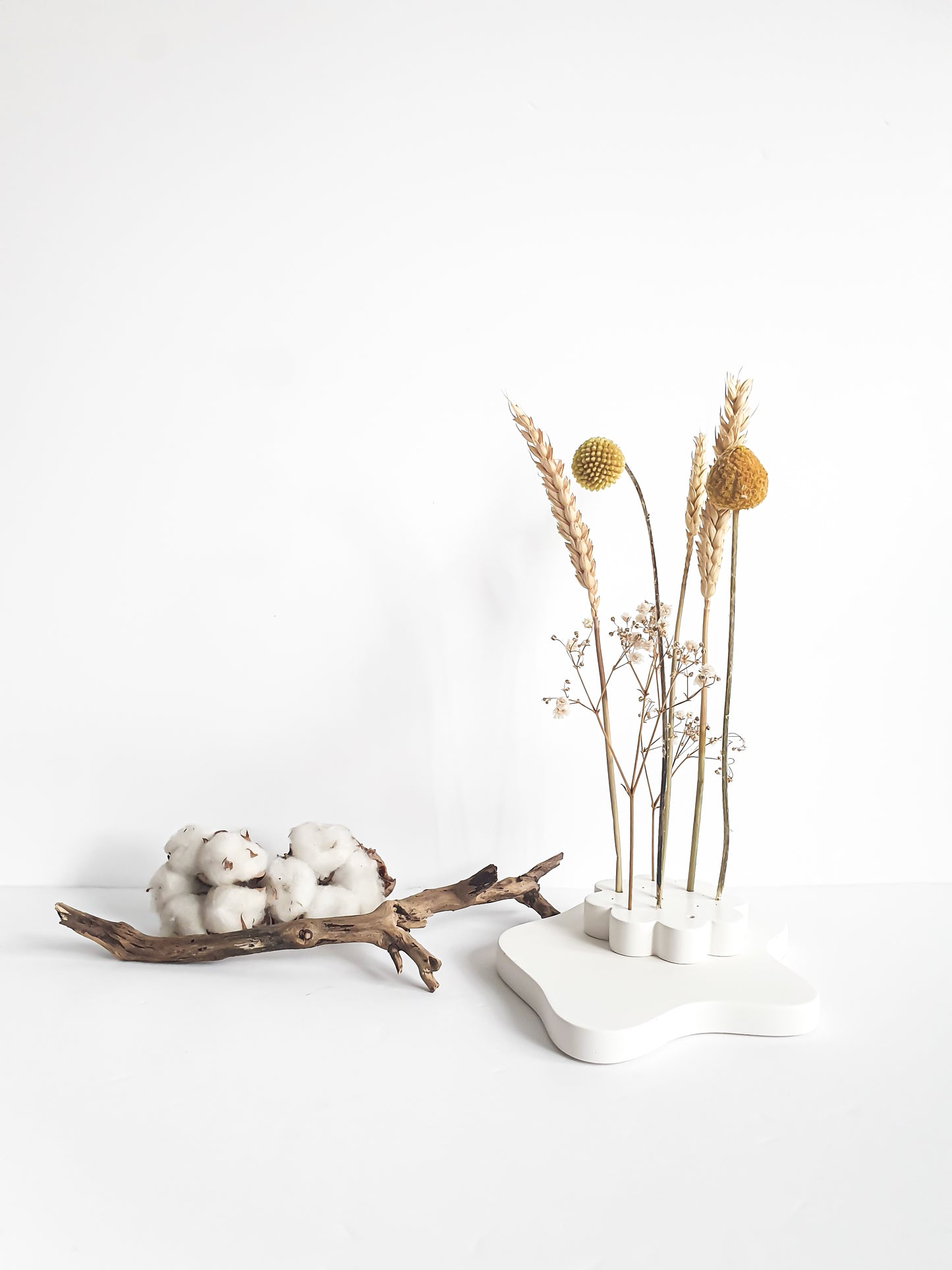 YESOstudio Dried Flower Scallop Stand – Elegant Floral Display