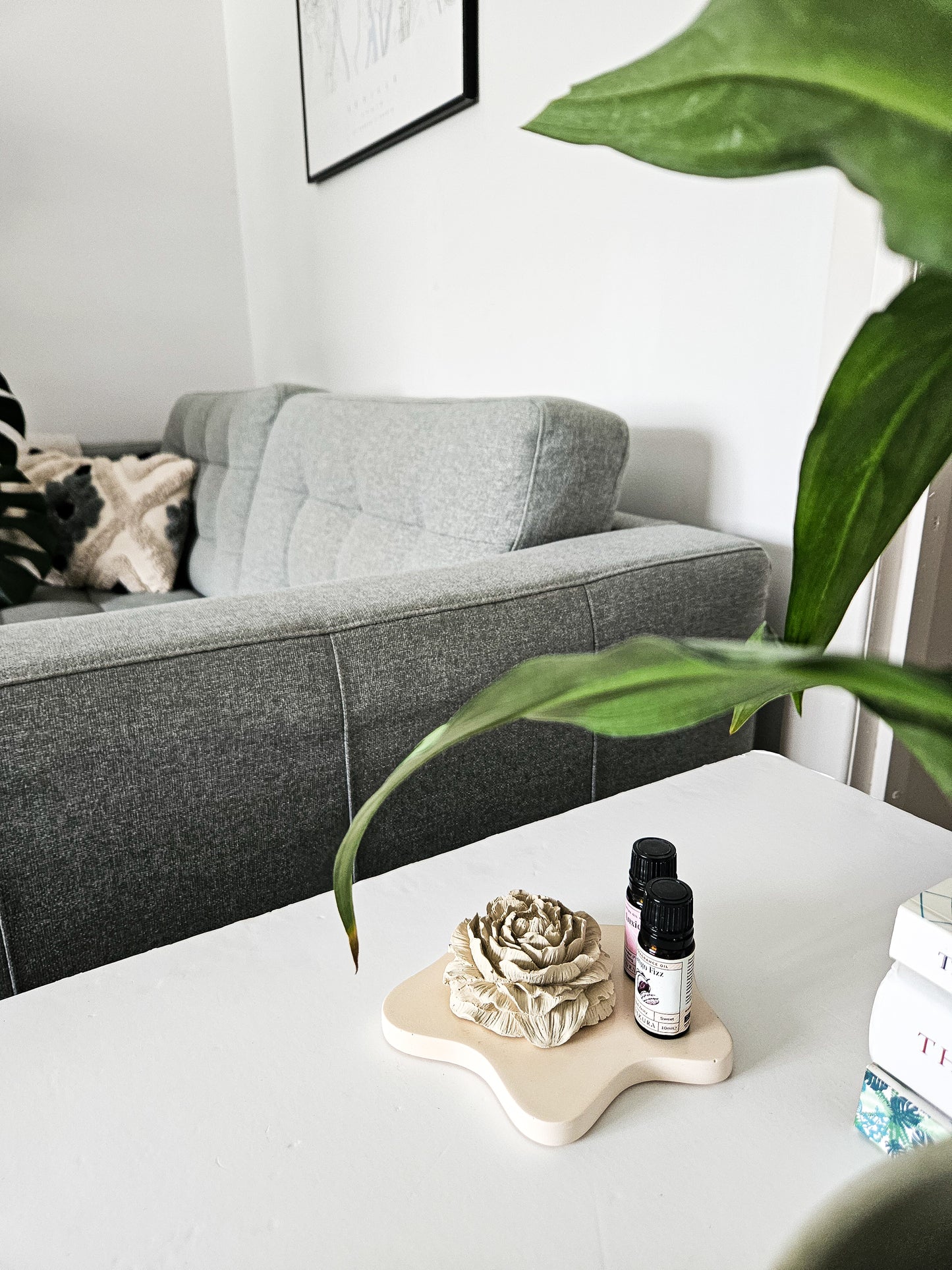 Peony Diffuser and Irregular Coaster Set