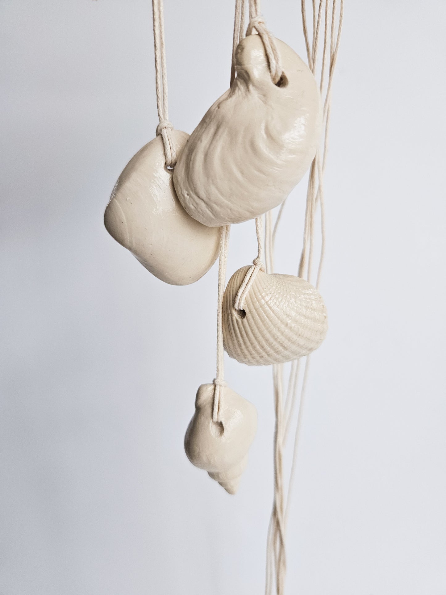 Seashell Necklace - Clam