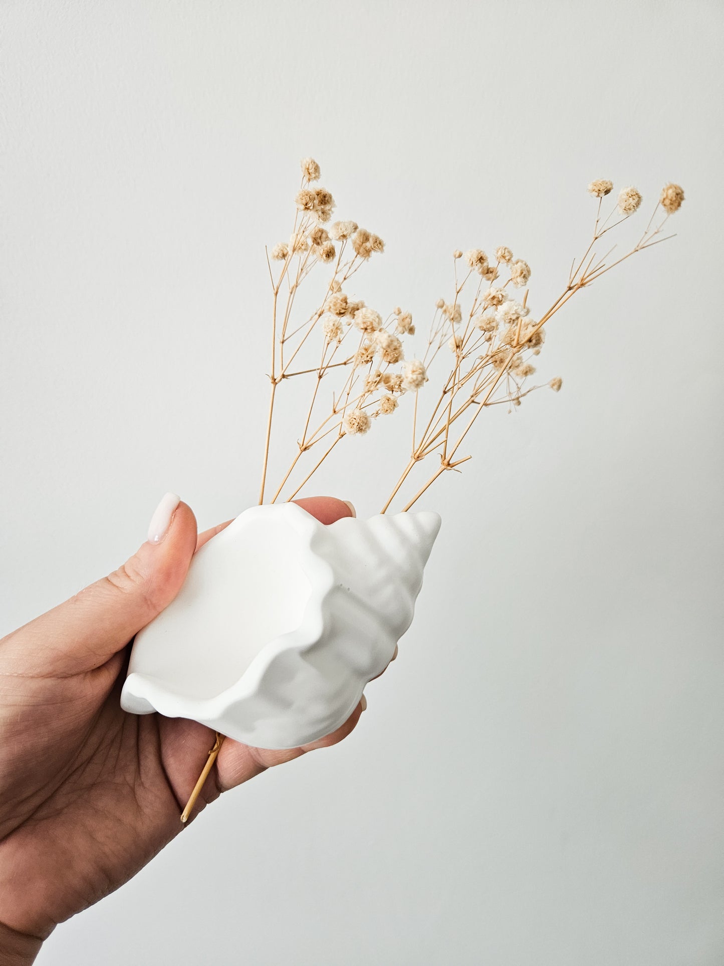 Seashell Trinket Dish