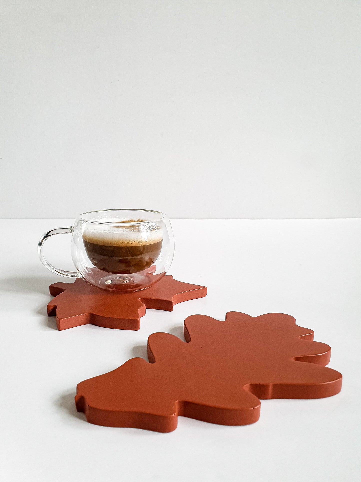 Autumn Leaf Drink Coasters Set of 2 - Maple and Oak Mix