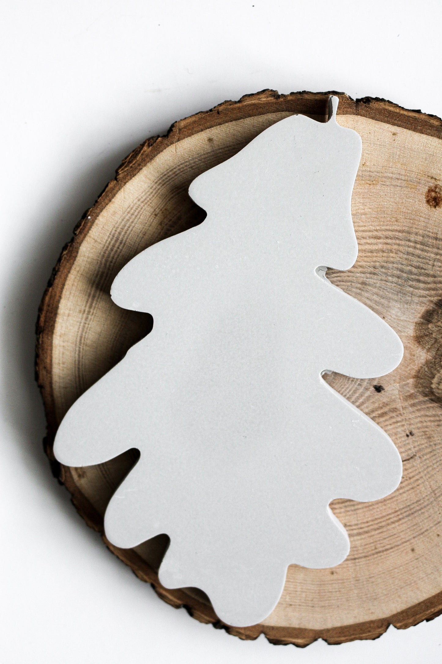 Autumn Leaf Drink Coasters Set of 2 - Maple and Oak Mix