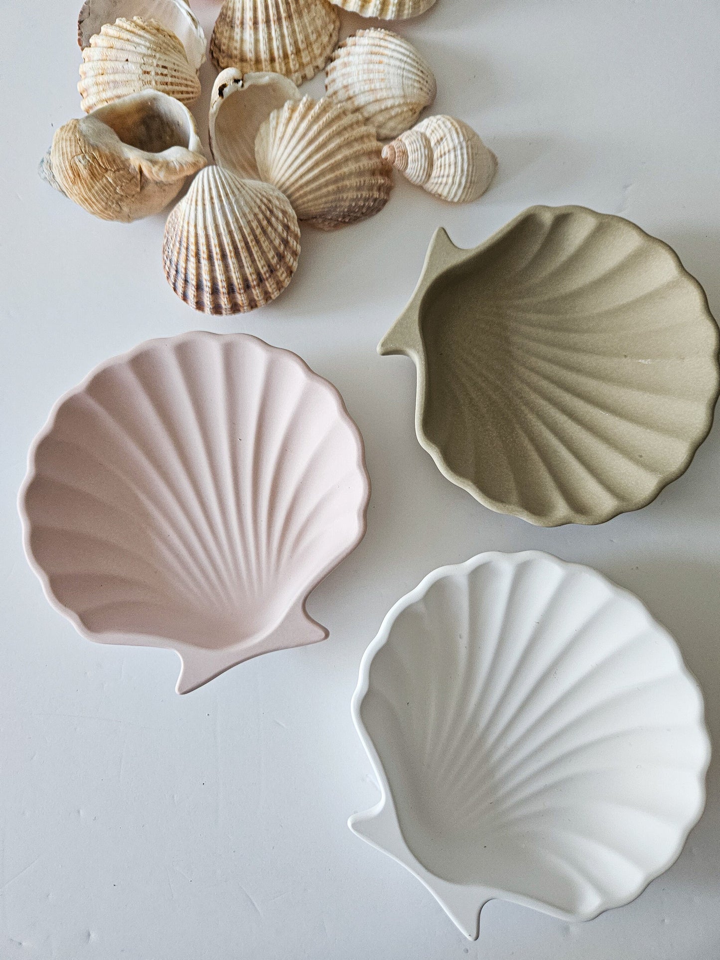 YESOstudio Seashell-Shaped Trinket Dish