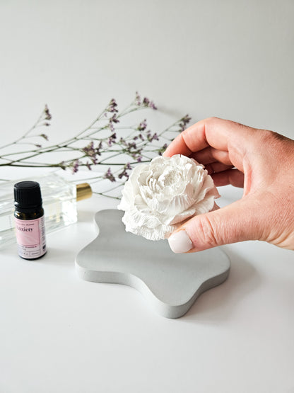 Peony Diffuser and Irregular Coaster Set