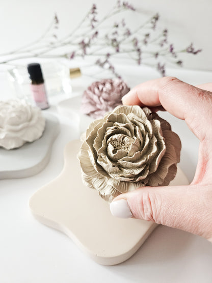 Peony Diffuser and Irregular Coaster Set
