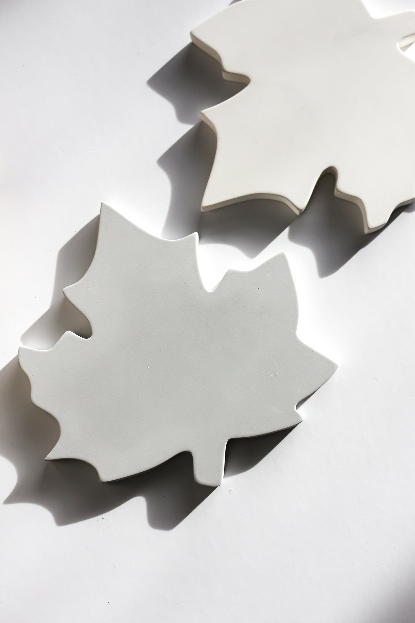 Maple Leaf Drink Coasters Set of 2