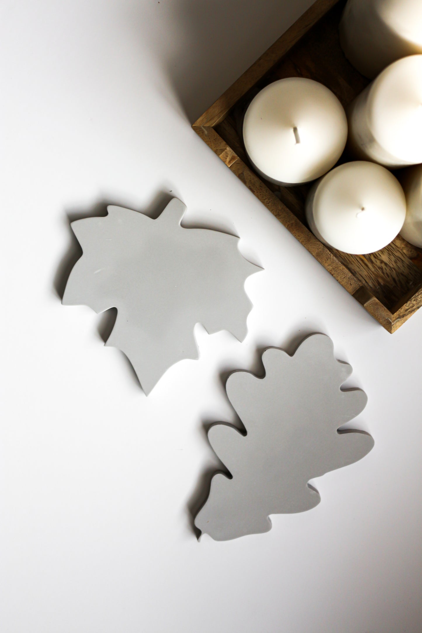 Oak Leaf Drink Coasters Set of 2