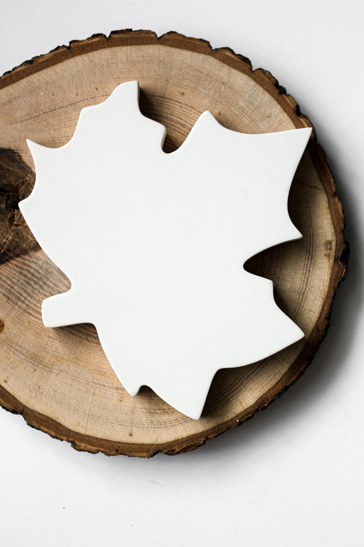 Maple Leaf Drink Coasters Set of 2